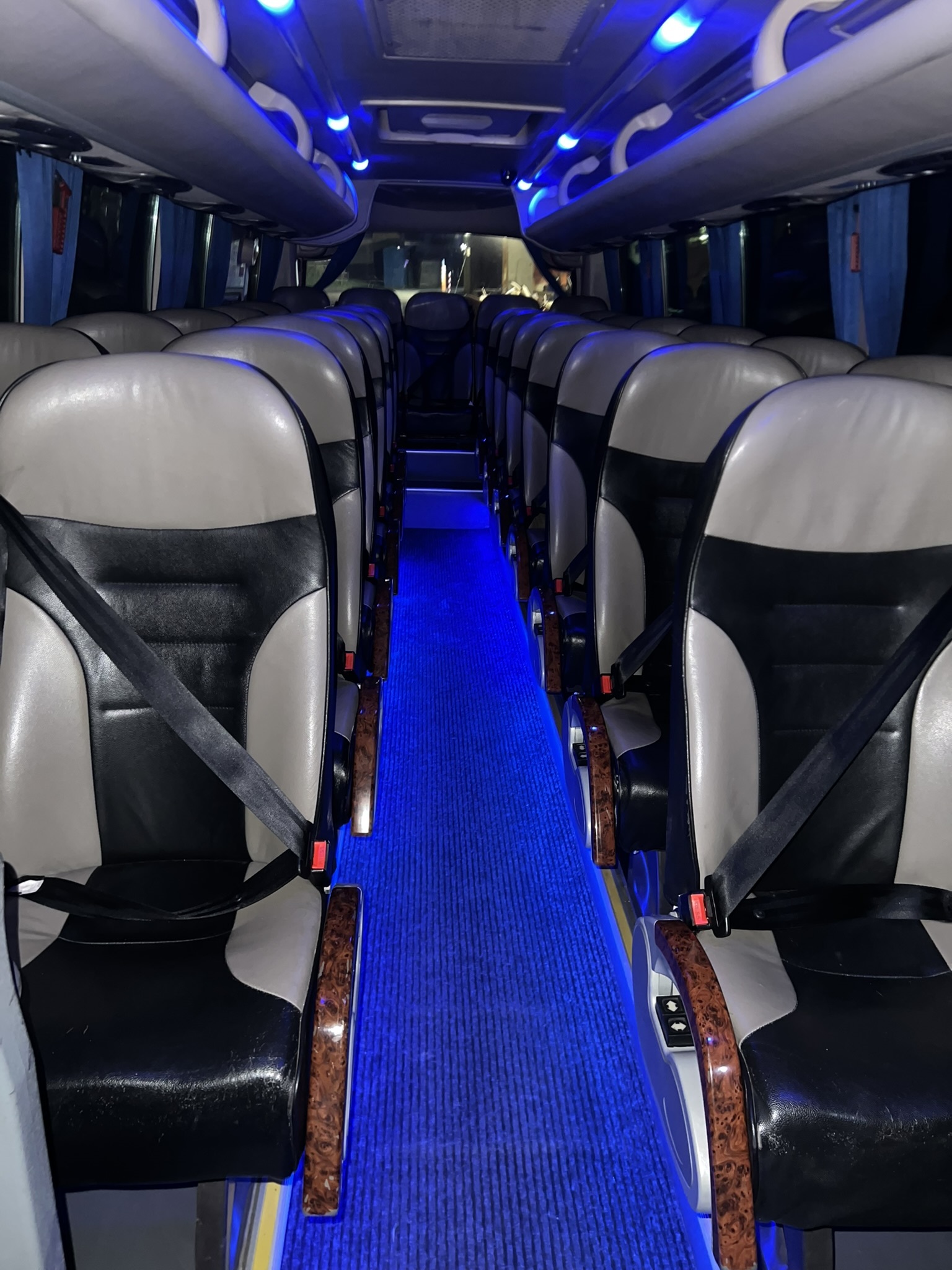 IMG_4633 inside midi coach